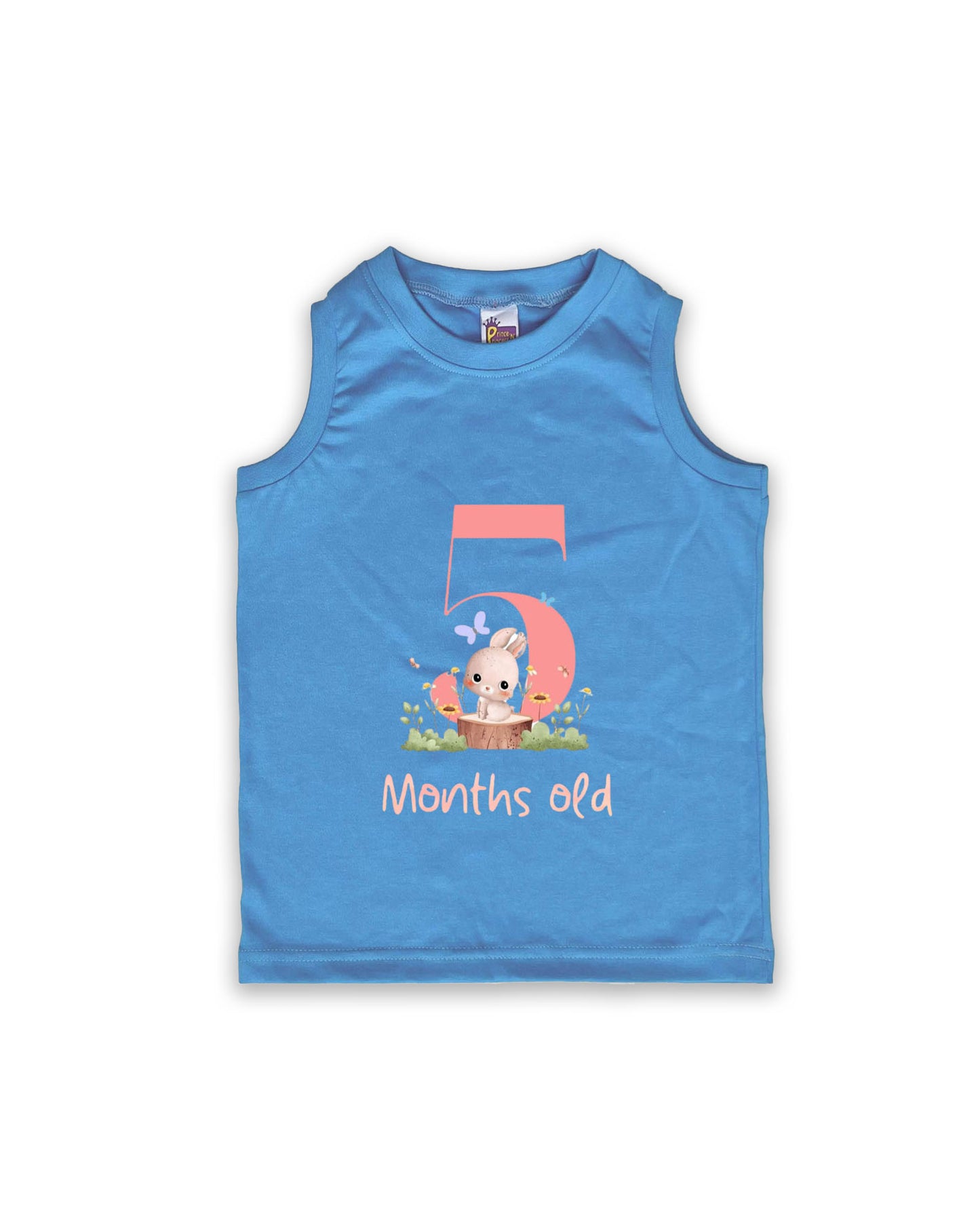 Newborn Sleeveless Ice Blue Vest - 5 Months Old Milestone vest with Adorable Bunny Design - Soft Cotton Baby Vest NPT120